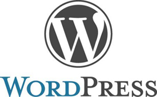 سیستم مدیریت محتوای وردپرس فارسی 3.2.1 WordPress